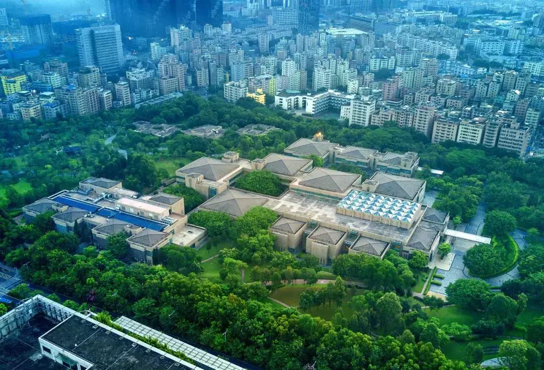 来了就是深圳人女声版,深圳本地人和深圳人的区别