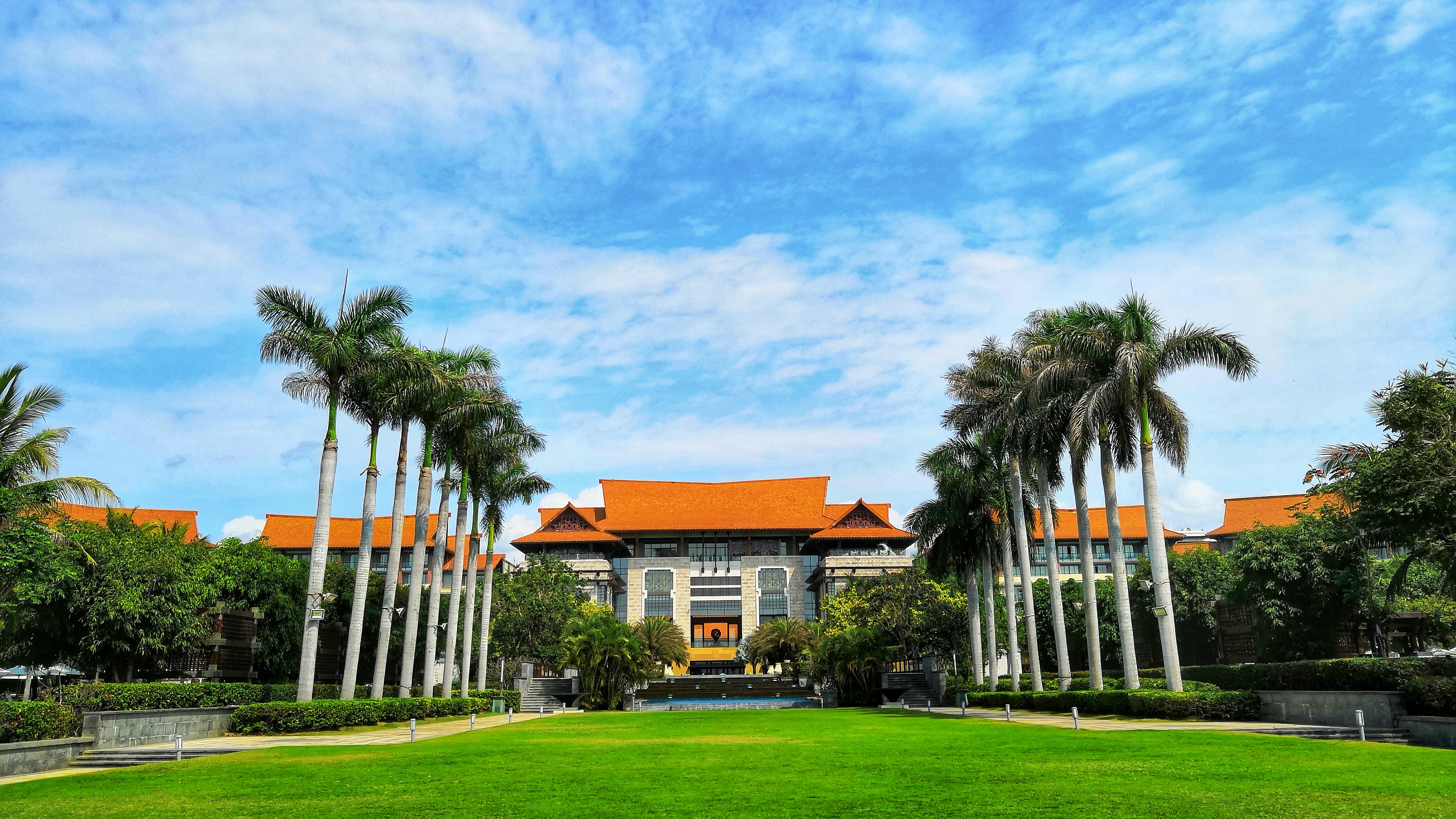 都是网红惹的祸,都是网红惹的祸完整版