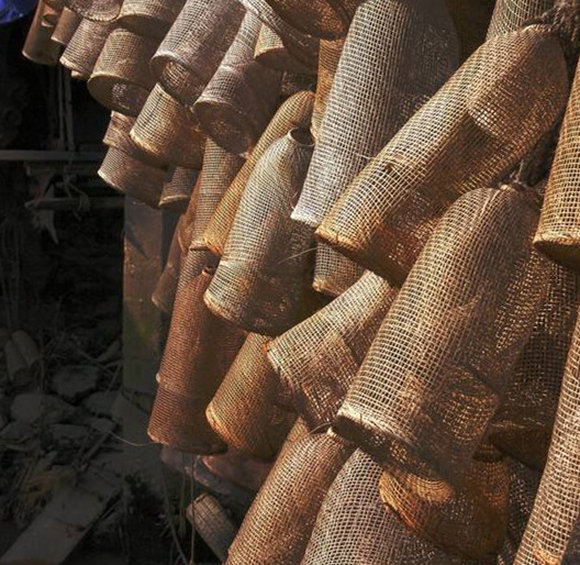 最新最简单的捕鱼方法,简单有效的捕鱼方法