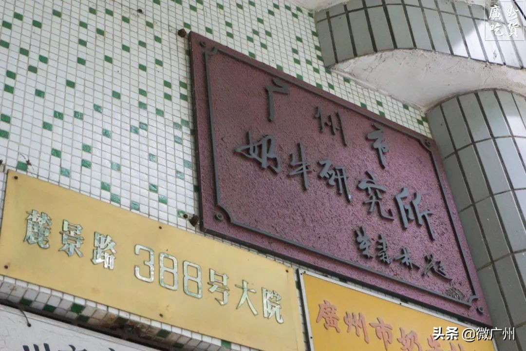 广州市奶牛研究所几点过去买牛奶,广州白云山奶牛研究所