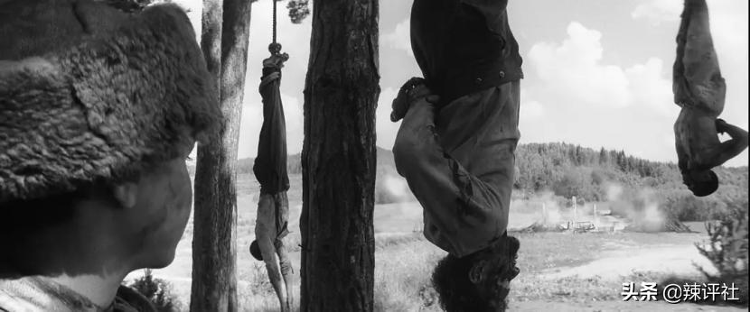 *力暴**与血腥在性关系中，异类是如何存活下去的