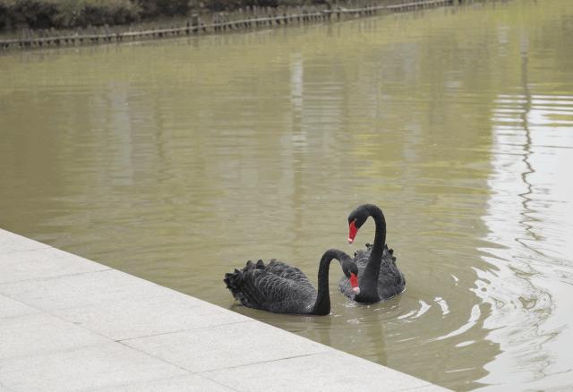 深圳这所大学宛如空中之城！