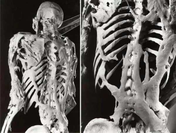 11个奇怪的冷知识,都让你怀疑它们是不是真的