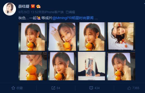 薛佳凝皈依佛门现状,薛佳凝为什么要皈依佛门