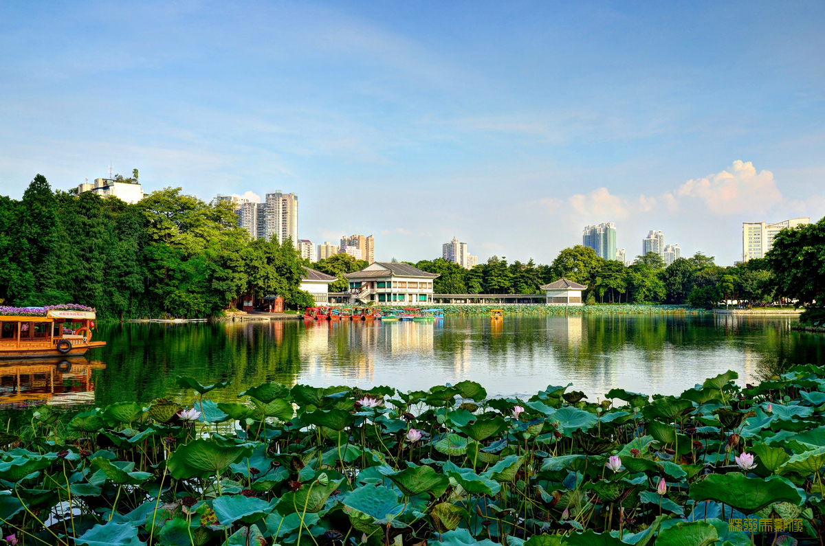 广州人口最密集的越秀区,广州三大区