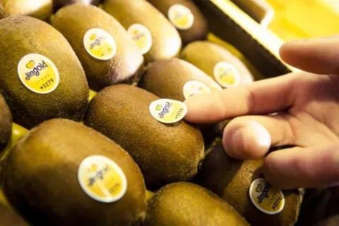 奇异果硬的怎么催熟,奇异果成熟与上市时间