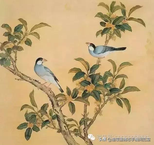 清宫鸟谱,清宫秘传鸟谱大全