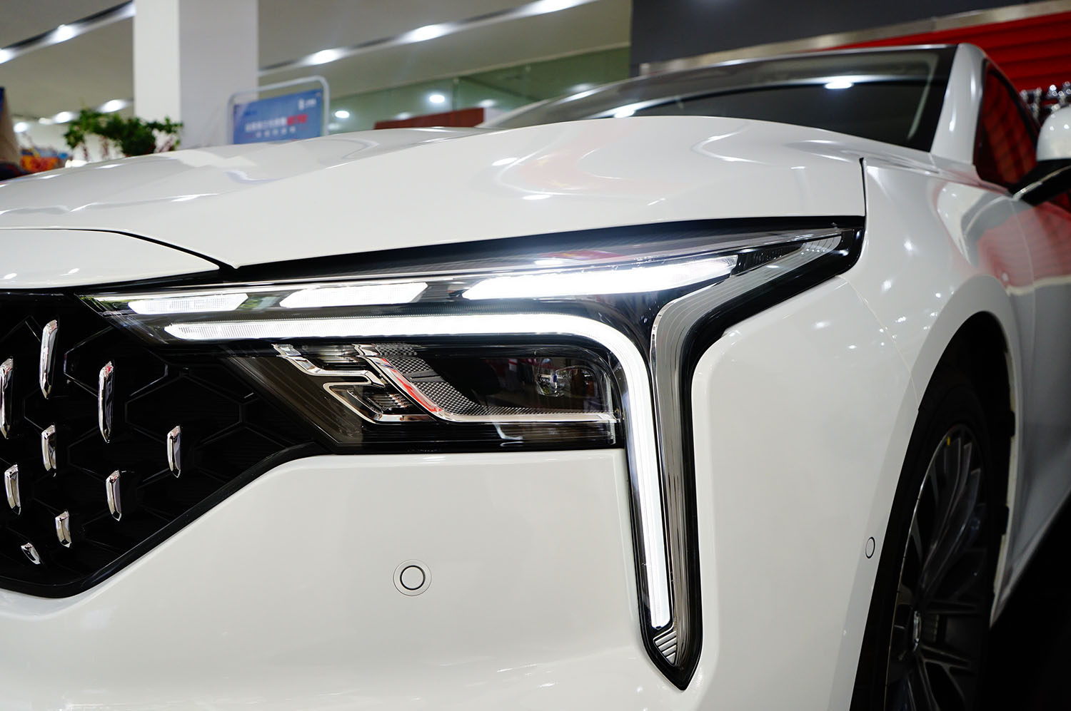 年轻人的第一辆轿跑型汽车奔腾b70,造型不错性能好的车