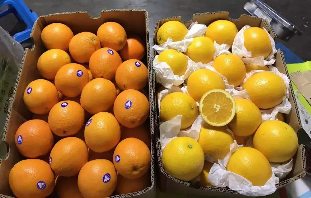 进口的水果有哪些,进口水果标准是什么