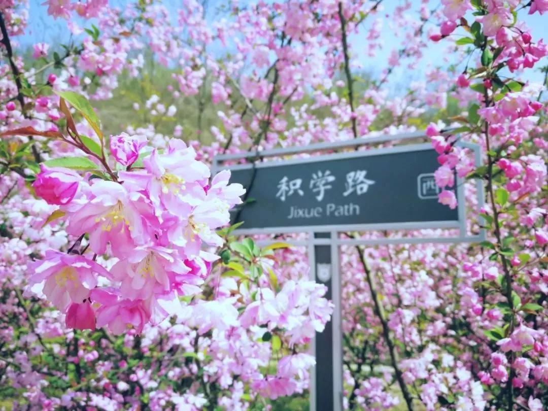 江苏一高校,江苏省四大高校