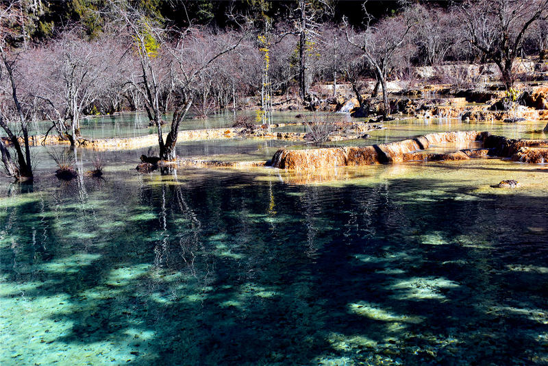 置身于童话中的九寨沟,畅游人间仙境黄龙九寨沟七日游