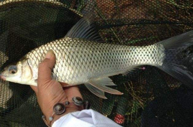 下雨天不能钓鱼吗?学习会这几种天气因素让你,鱼获满仓