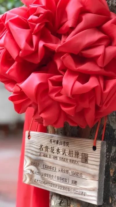 梅州两天一夜吃货攻略,去梅州吃小吃的周末游记