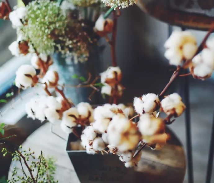 她辞去总监回家扶贫后续,她辞去总监回家扶贫结局