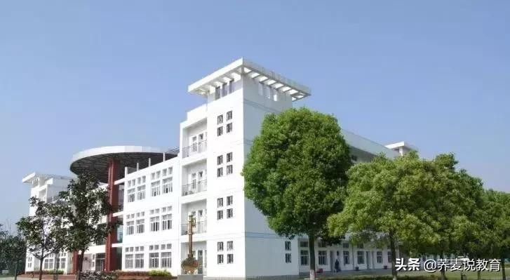 武汉排名前十的初中和高中,武汉各区初高中排名