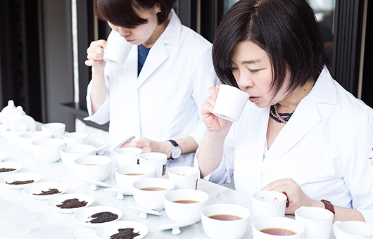 日本红茶饮料品牌,日本小众红茶