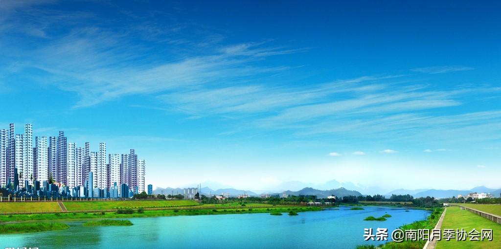 南阳月季欣赏的地方,南阳大月季