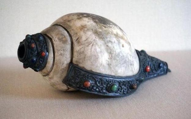 古墓发现酒专家说不能喝,古墓里面的海螺是什么