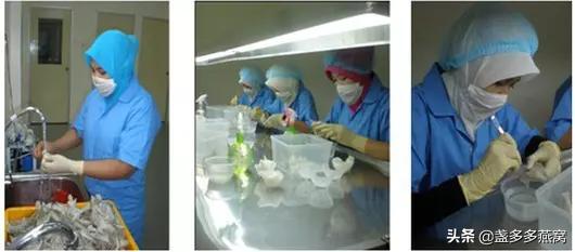 燕窝和可以吃的燕窝有什么区别,燕窝和燕窝有什么区别