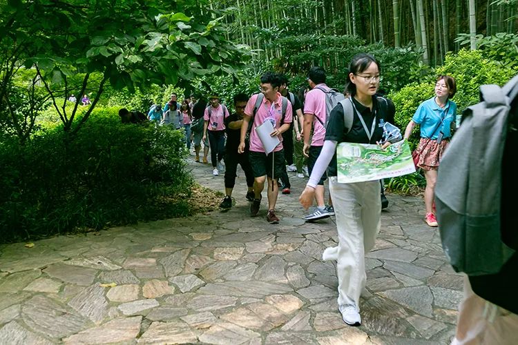 垃圾分类，景区在行动！浪漫七夕，宜兴竹海环保分类大挑战