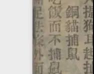 晚清末年，人们认为猫毛蓄电可以治病