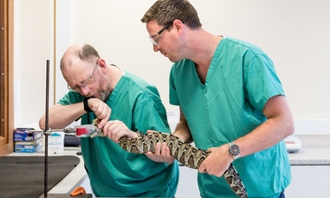 世界最危险的6份工作,世界上最危险的工作一千几百万