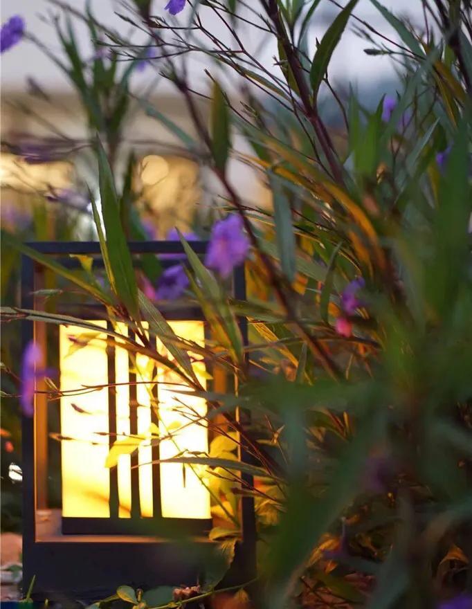 时光旧影,藏在时光中的旧影