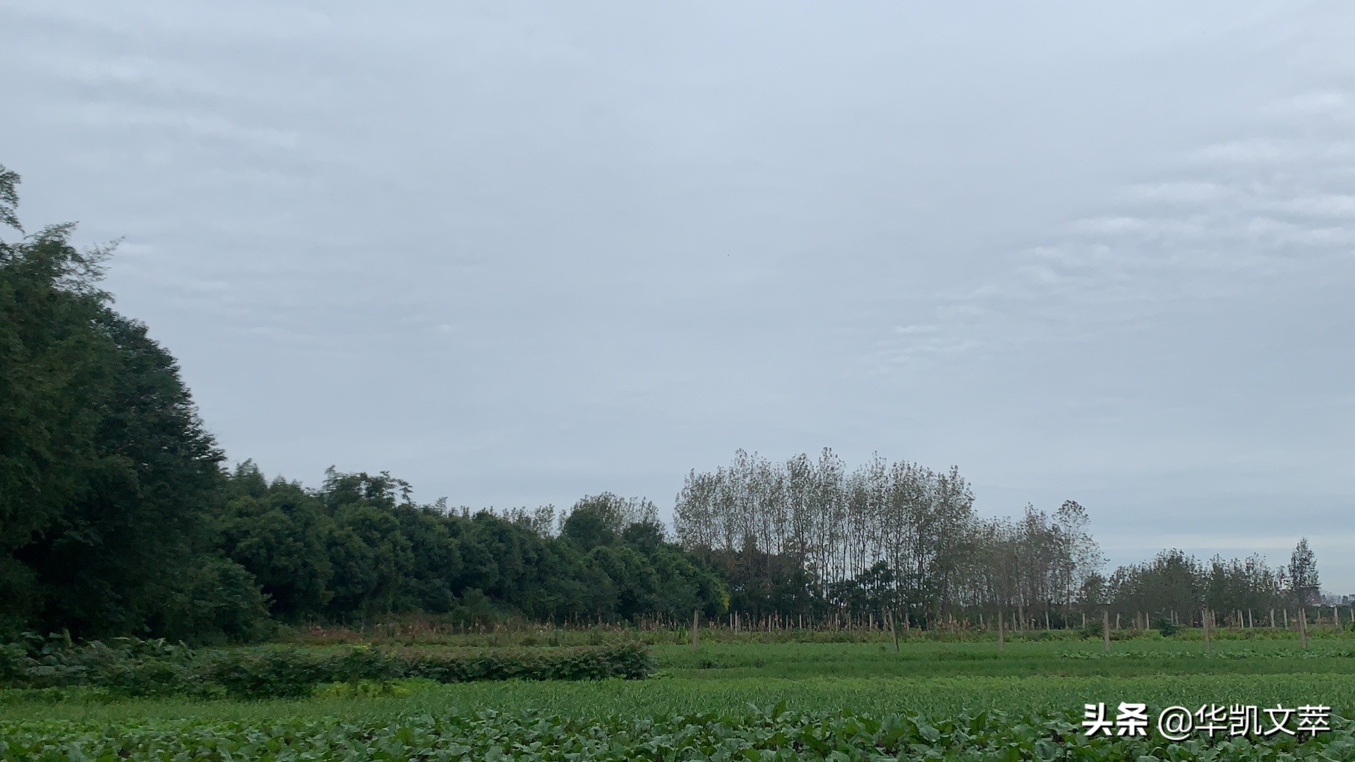 麦城关羽有什么说法,麦城中的关羽