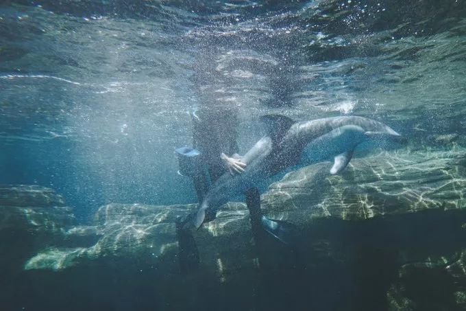 不一样的大阪三日游，瑠璃一束光，值得一来再来