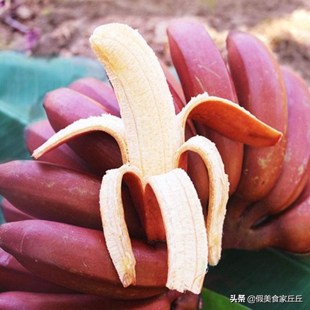 世界最贵水果排行榜前十名,世界上最贵的水果是什么