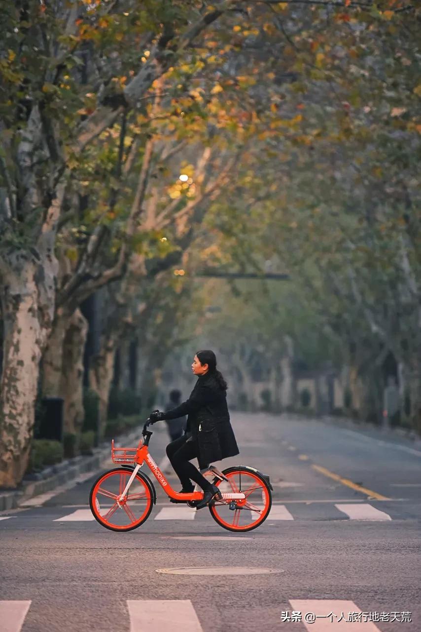 这才是12月最值得去的旅行地,11月12月去哪里旅游最美