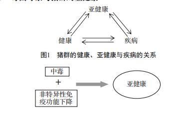 春季养猪，猪群霉菌毒素中毒的防治办法
