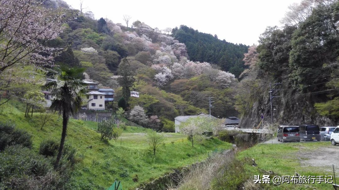 京都和奈良有什么不同,京都和奈良区别