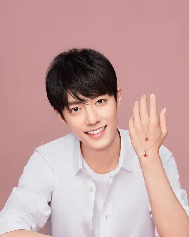 知名作家评价肖战:长得太帅,又是顶流,很多人视之为眼中钉