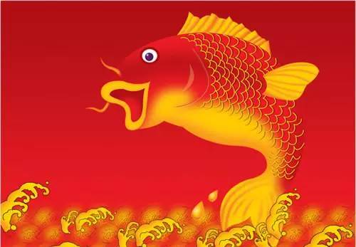 鲤鱼看鲤鱼,鲤鱼看虎鲸