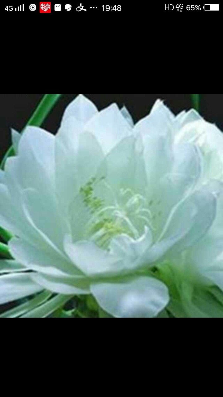 老界岭的山顶,老界岭冬天景色