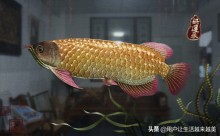 中国四大名绣哪种绣能够代表国家,中国的四大名绣和它们的代表作