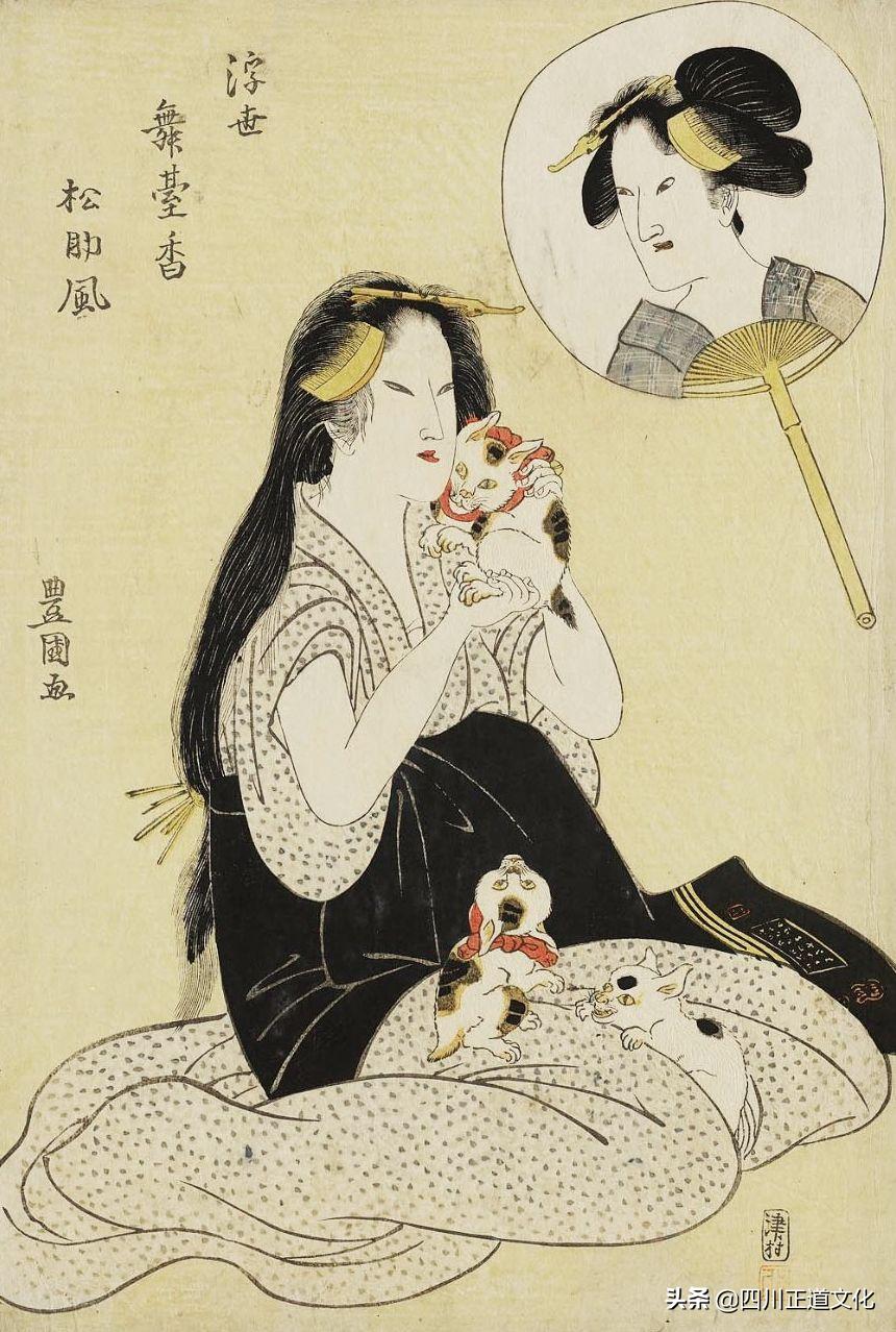 猫的故事高清图片,盘点猫的曾经故事