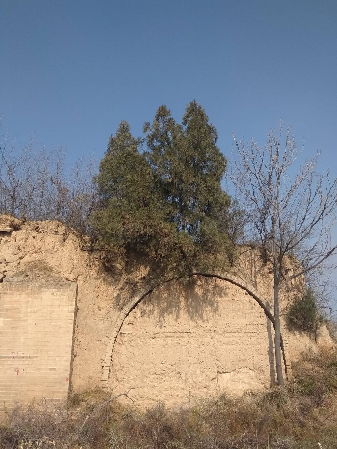 窑背上铺什么,窑背用什么材质盖好