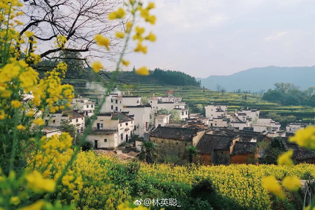 婺源油菜花一日游旅游攻略,婺源油菜花旅游攻略