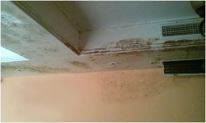 地下室潮湿发霉装排气扇,地下室潮湿又发霉小妙招怎么解决