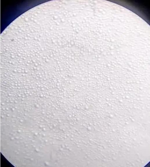 母乳和奶粉显微镜下的区别,显微镜下的母乳