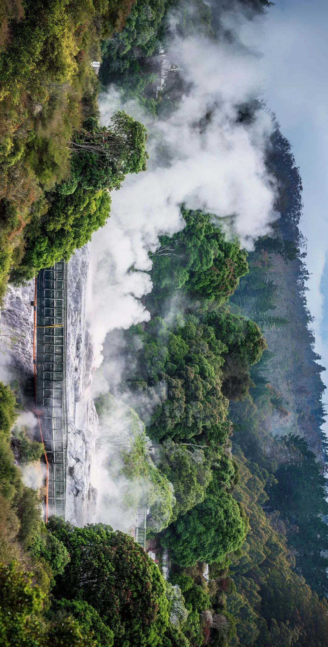 新西兰为什么那么发达,新西兰为什么这么牛