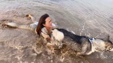 搞笑段子：骑上我心爱的小乌龟