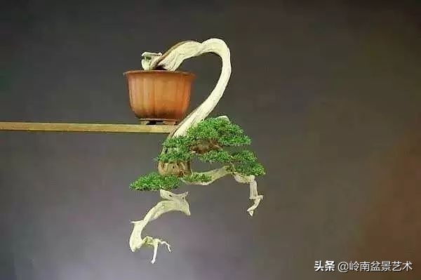 鎮礀缁濆閫㈢敓,鎮礀鐩嗘櫙澶у叏