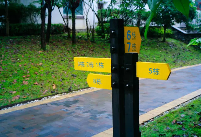 武隆夏季探秘奇特的地缝峡谷,武隆探秘