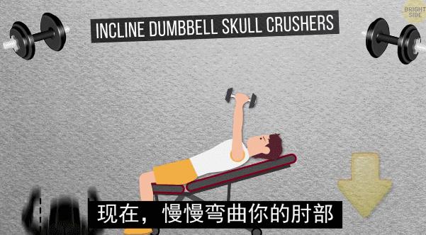 怎么练手臂的肱三头,怎么才能练出手臂的肱三头肌