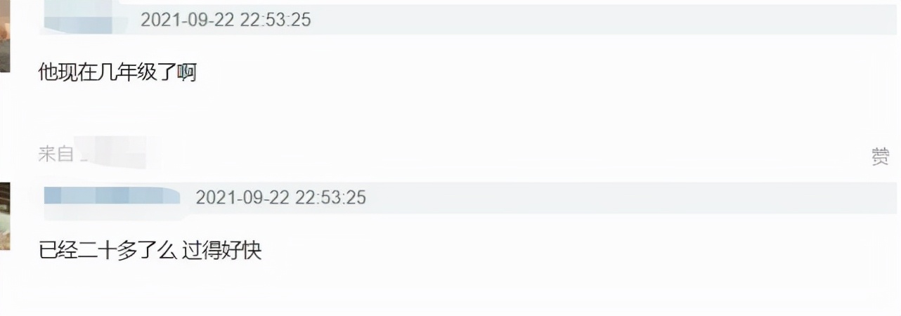 吴镇宇儿子长大后的模样,吴镇宇儿子正面照曝光