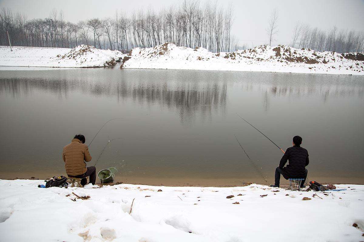 野钓都没口是怎么回事,野钓没口了