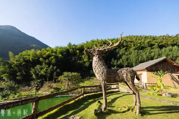 桐庐最美住宿,桐庐最美的客栈